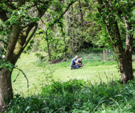 Two Batsford workshop participants viewed in the distance through an arch of trees, photographing plants near the ground