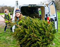 Picture of volunteers loading Christmas trees into a van